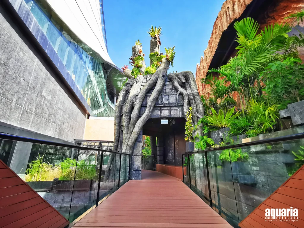 Aquaria Phuket - Ticket - Photo 3