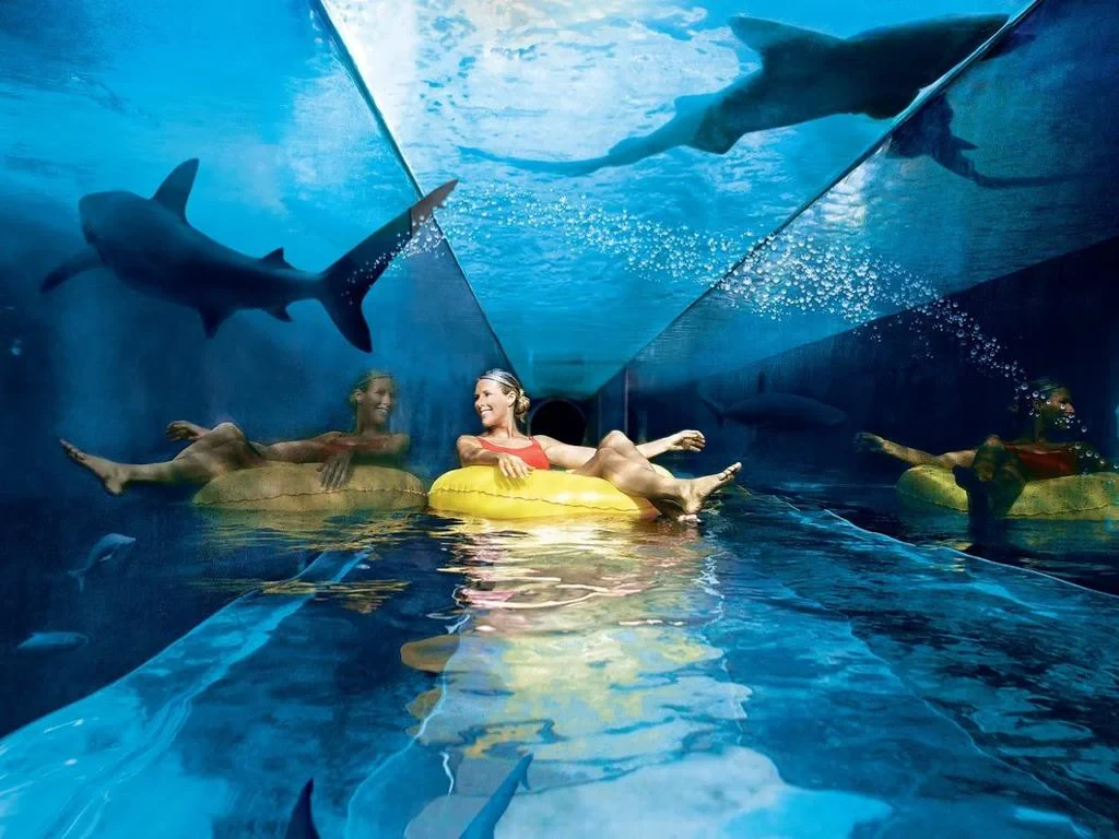 Atlantis Aquaventure + Lost Chambers - Ticket with Transfers