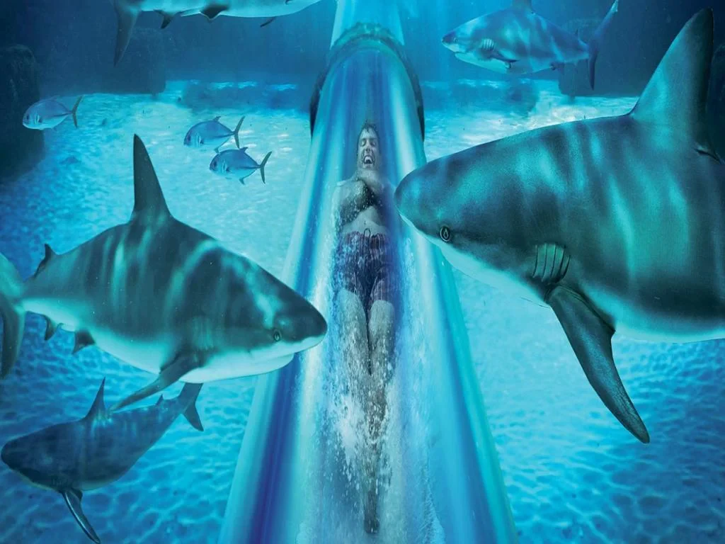 Atlantis Aquaventure + Lost Chambers - Ticket with Transfers - Photo 5