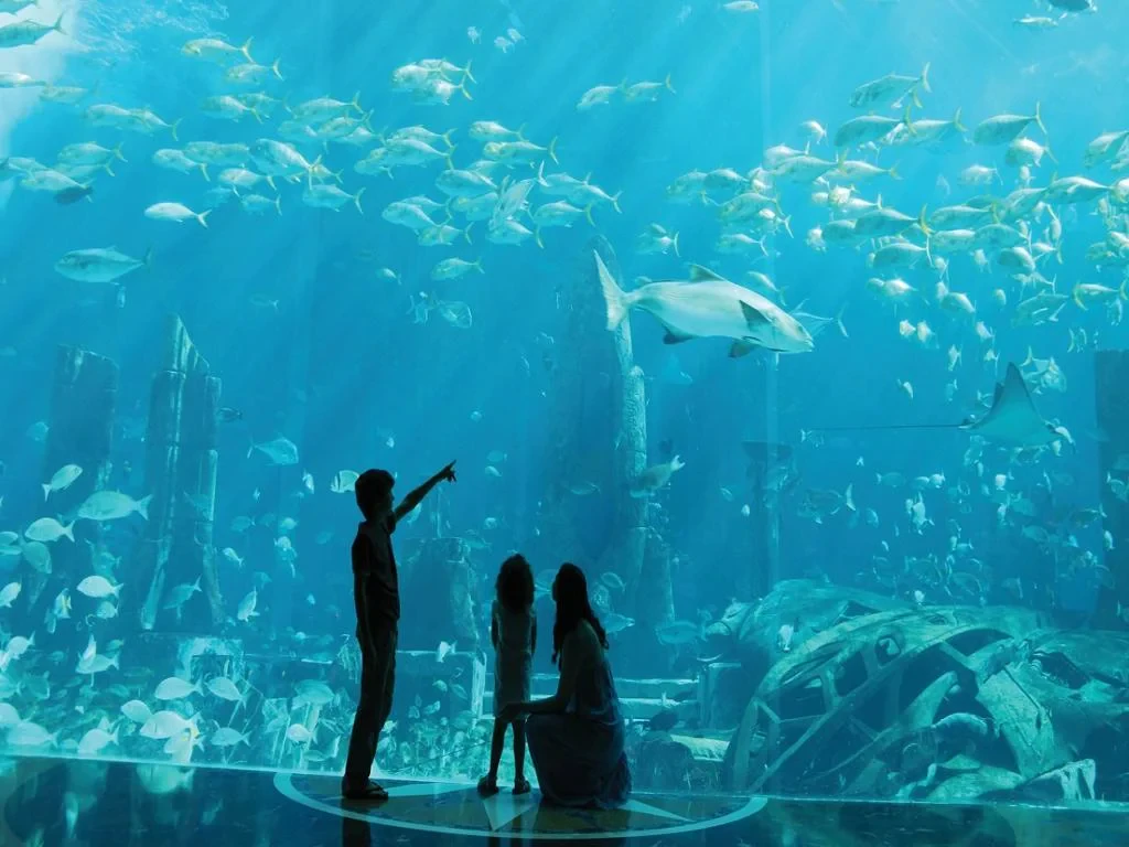 Atlantis Aquaventure + Lost Chambers - Ticket with Transfers - Photo 7