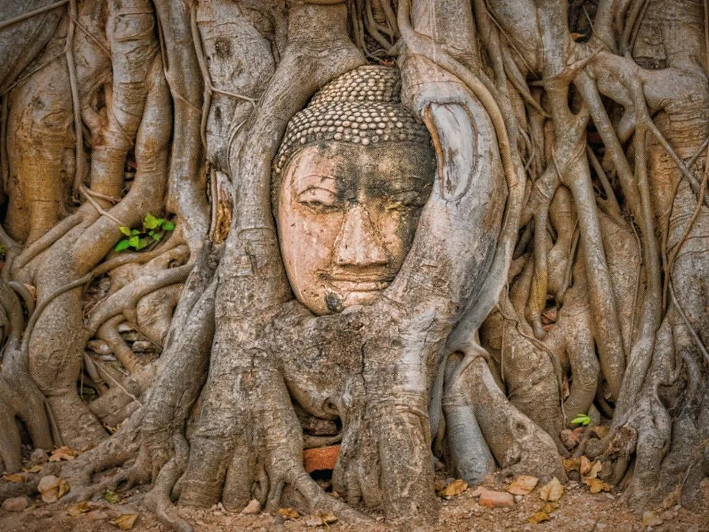 Ayutthaya from Bangkok by Road - Full-Day Tour