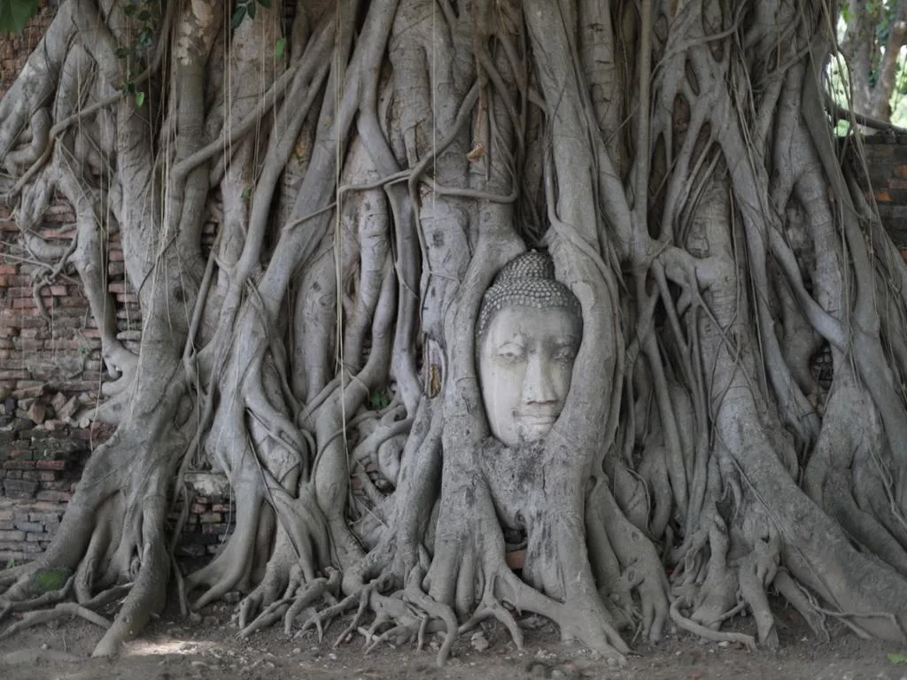 Ayutthaya from Bangkok by Road - Full-Day Tour - Photo 4