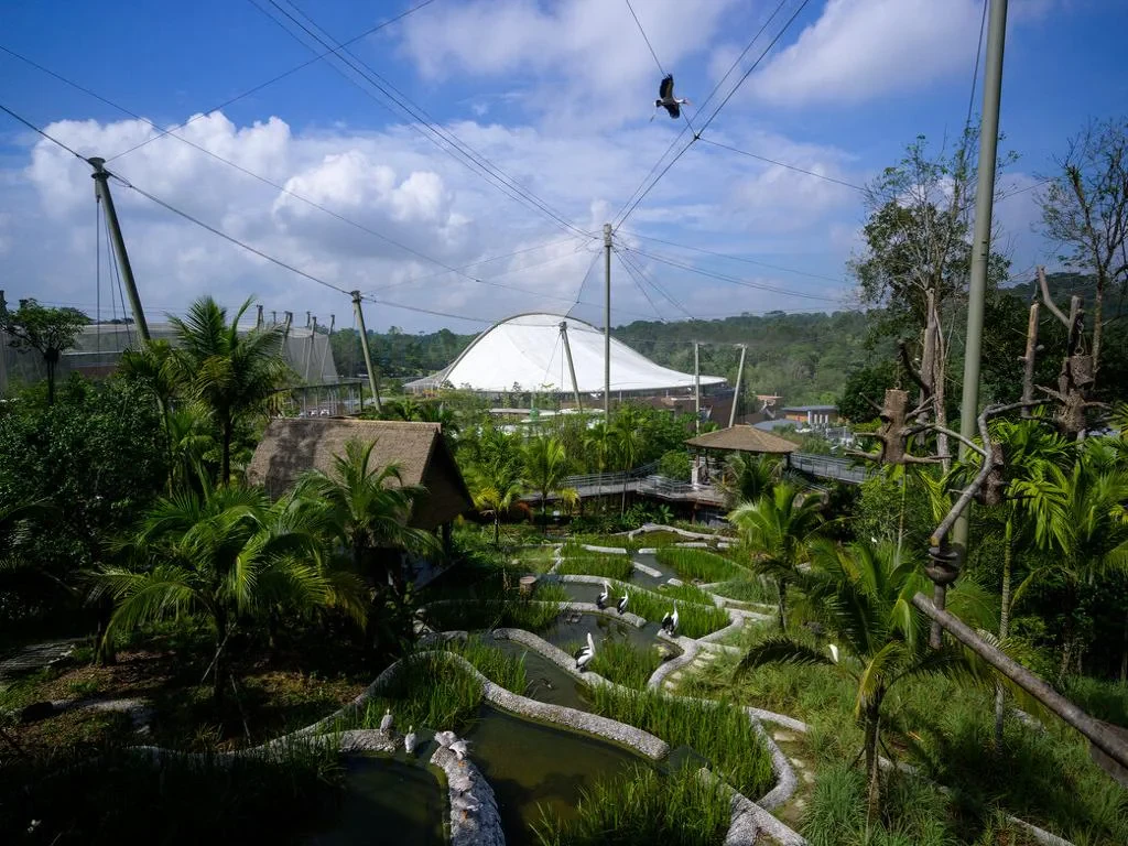 Bird Paradise - Ticket - Photo 2