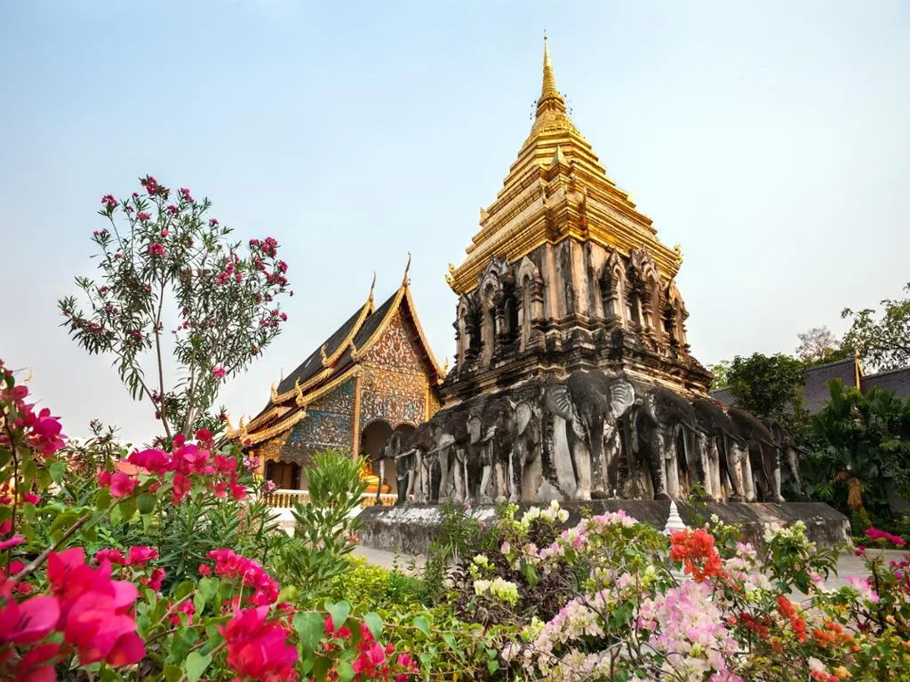 Chiang Mai Old City and Temples - Walking Tour - Photo 5