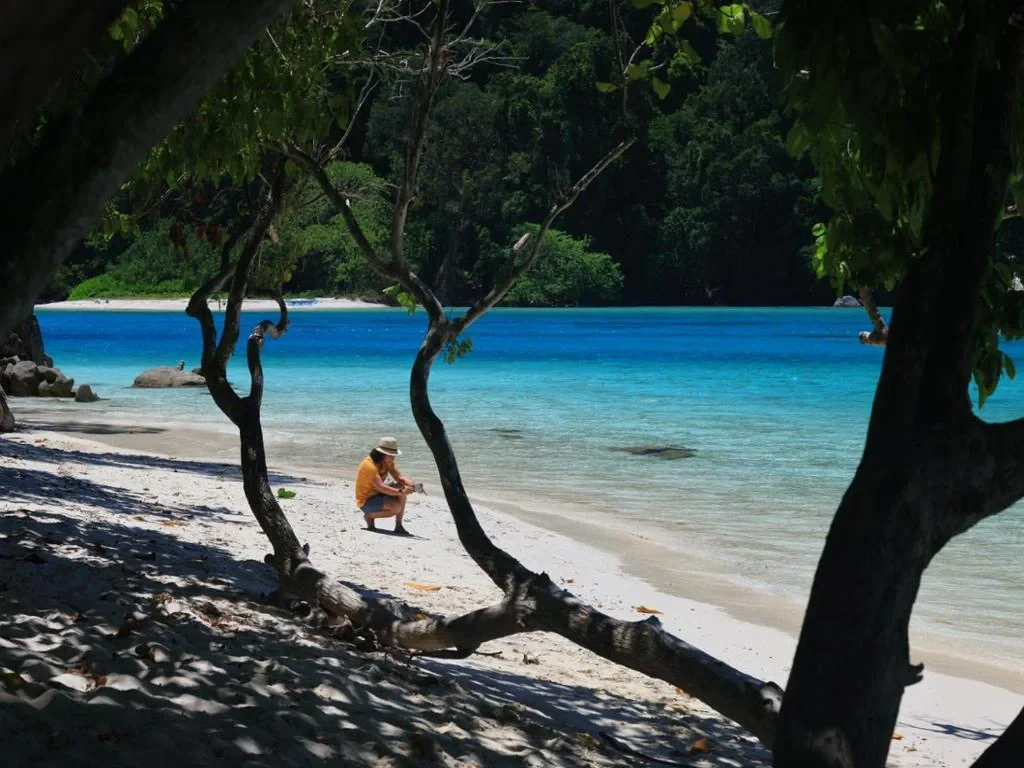 Day Trip to Similan Island by Speedboat from Phuket - Photo 3