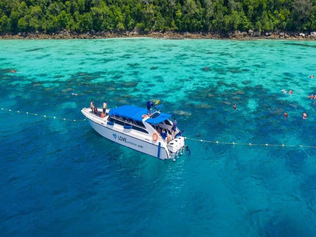 Day Trip to Similan Island by Speedboat from Phuket - Photo 4
