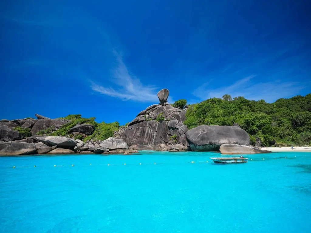 Day Trip to Similan Island by Speedboat from Phuket - Photo 5