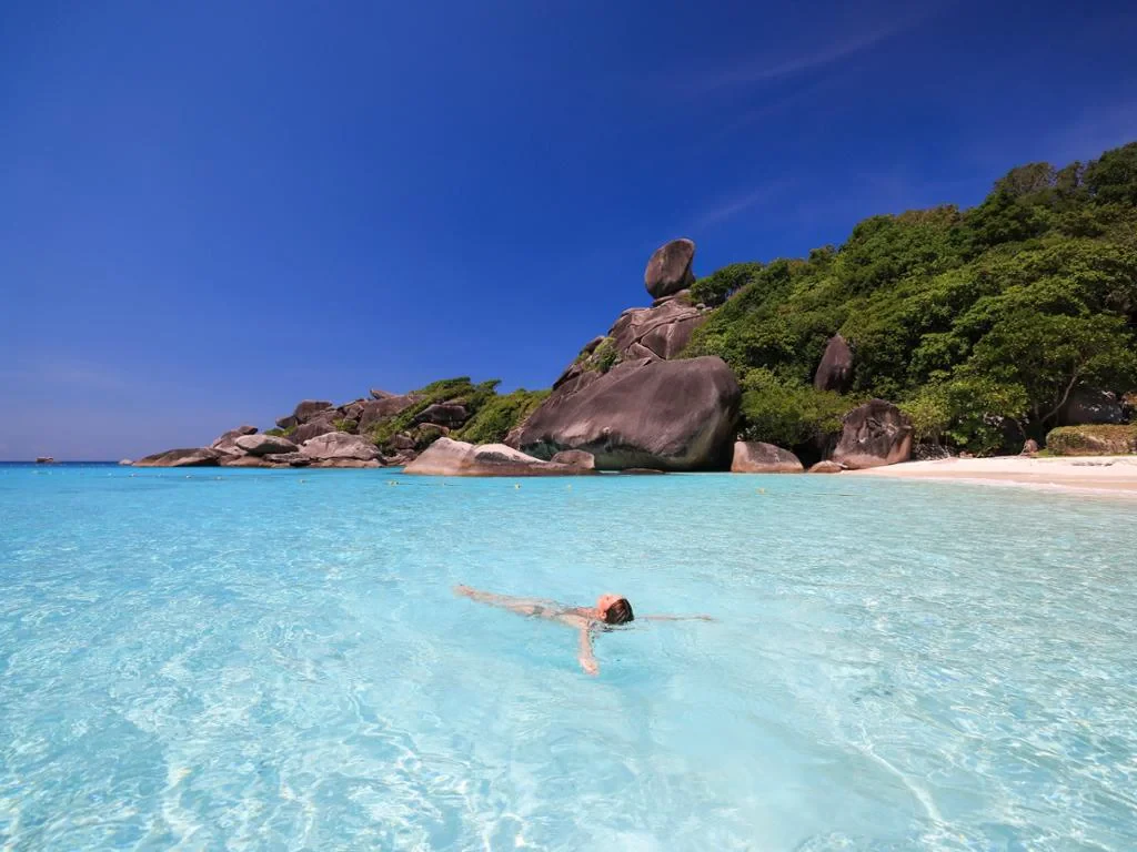 Day Trip to Similan Island by Speedboat from Phuket - Photo 6
