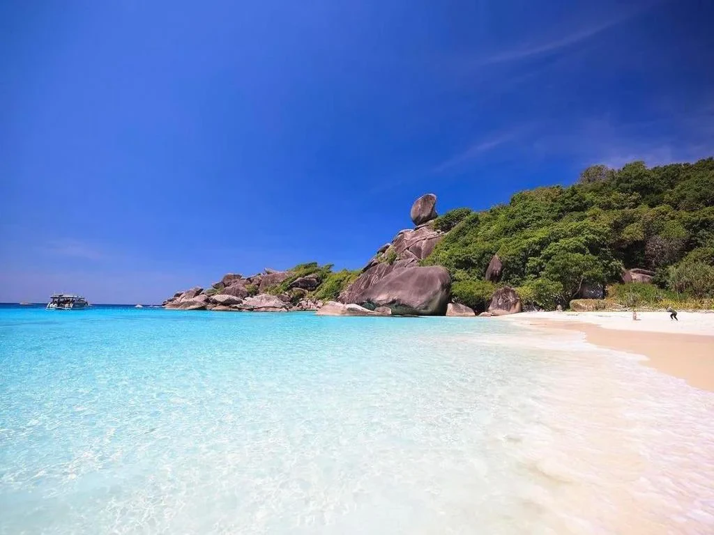 Day Trip to Similan Island by Speedboat from Phuket - Photo 7