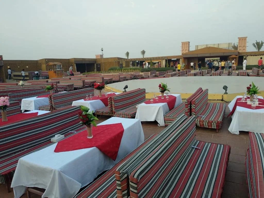 Desert Safari, Dune Bashing and BBQ Dinner - Photo 14