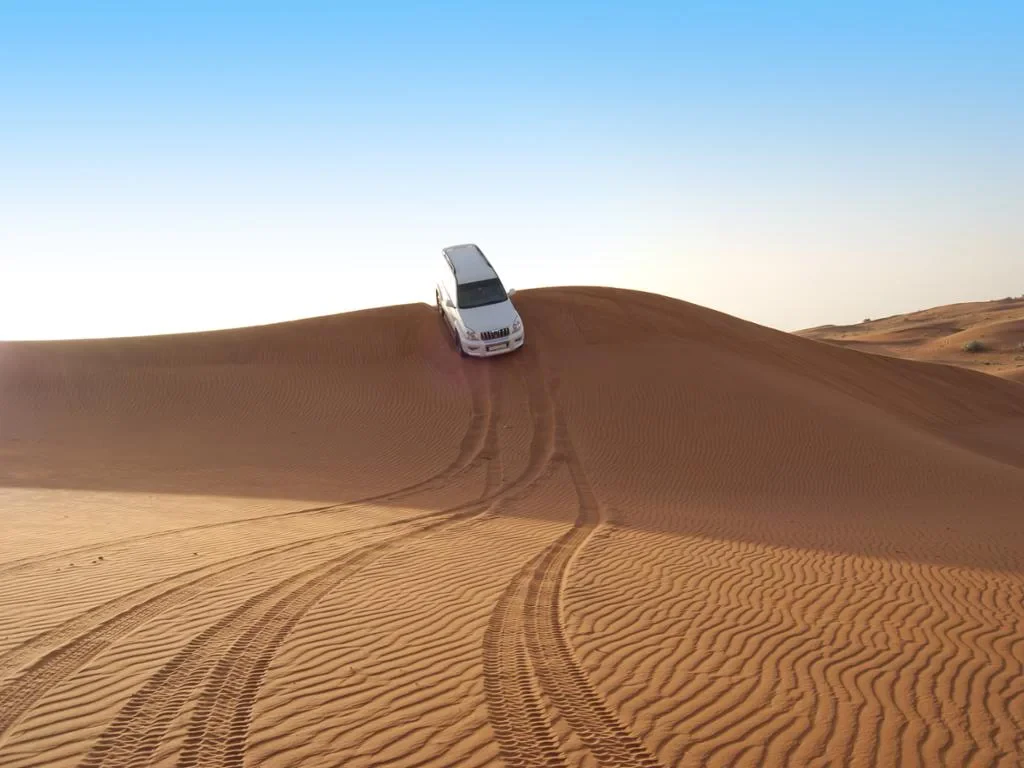 Desert Safari, Dune Bashing and BBQ Dinner - Photo 2