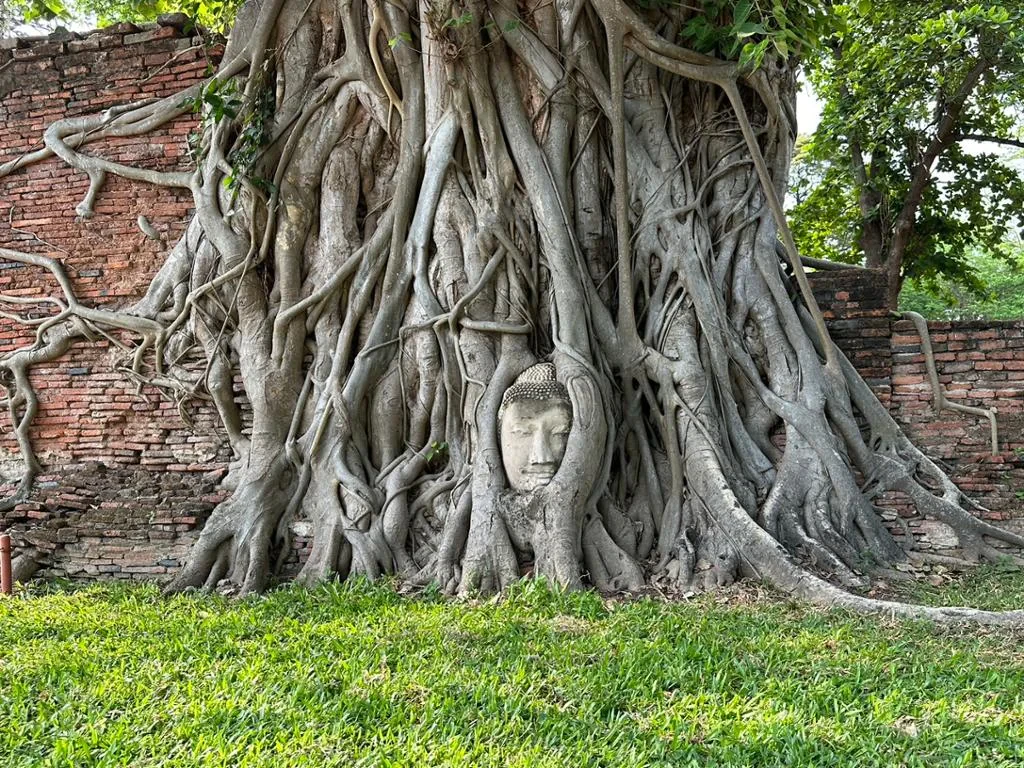 Discover Ayutthaya by Bus and Cruise - Full-Day Tour - Photo 10