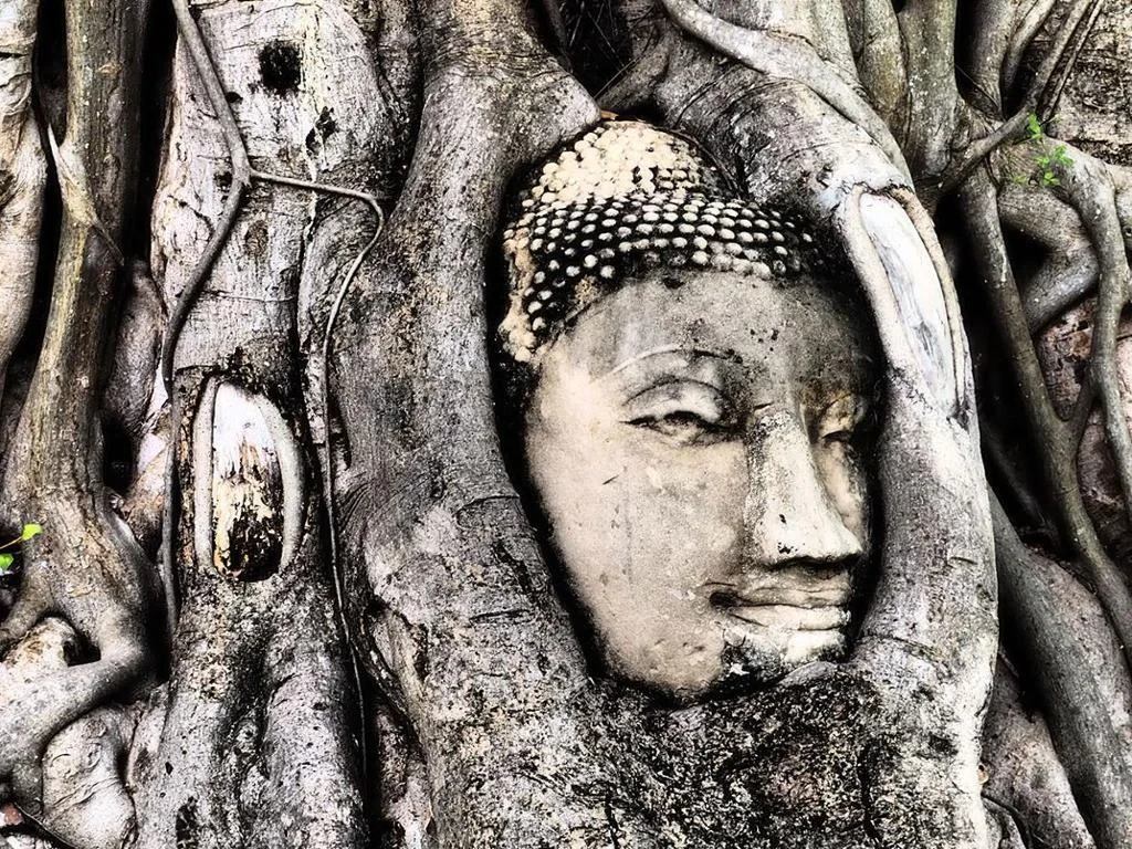 Discover Ayutthaya by Rail, Road and River - Photo 2