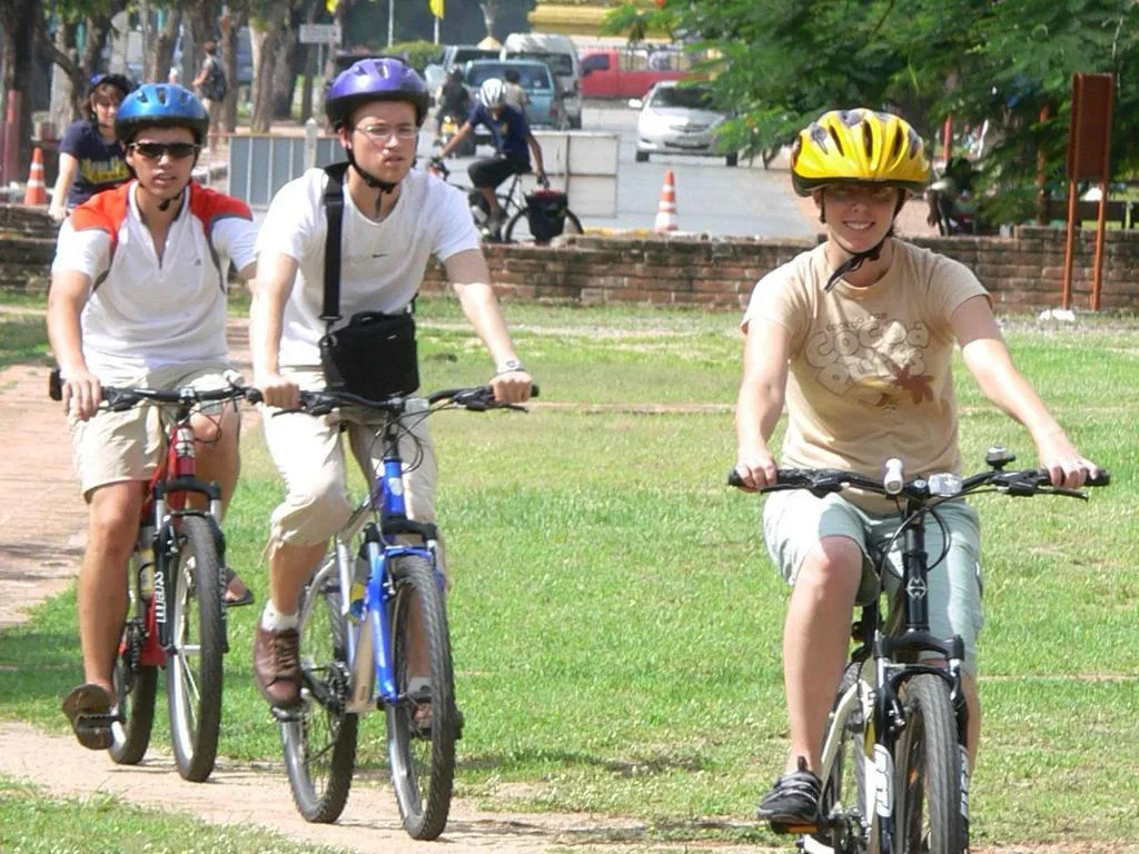 Discover Ayutthaya by Rail, Road and River - Photo 3