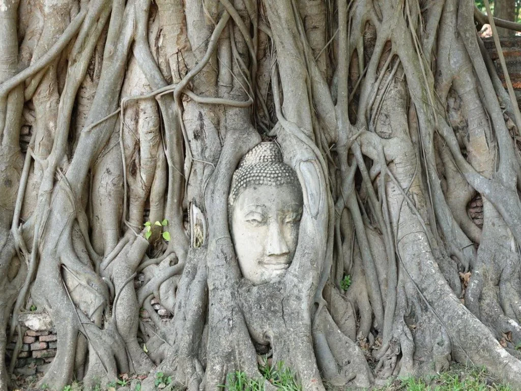 Discover Ayutthaya City - Full-Day Private Car Hire with Chauffeur - Photo 2