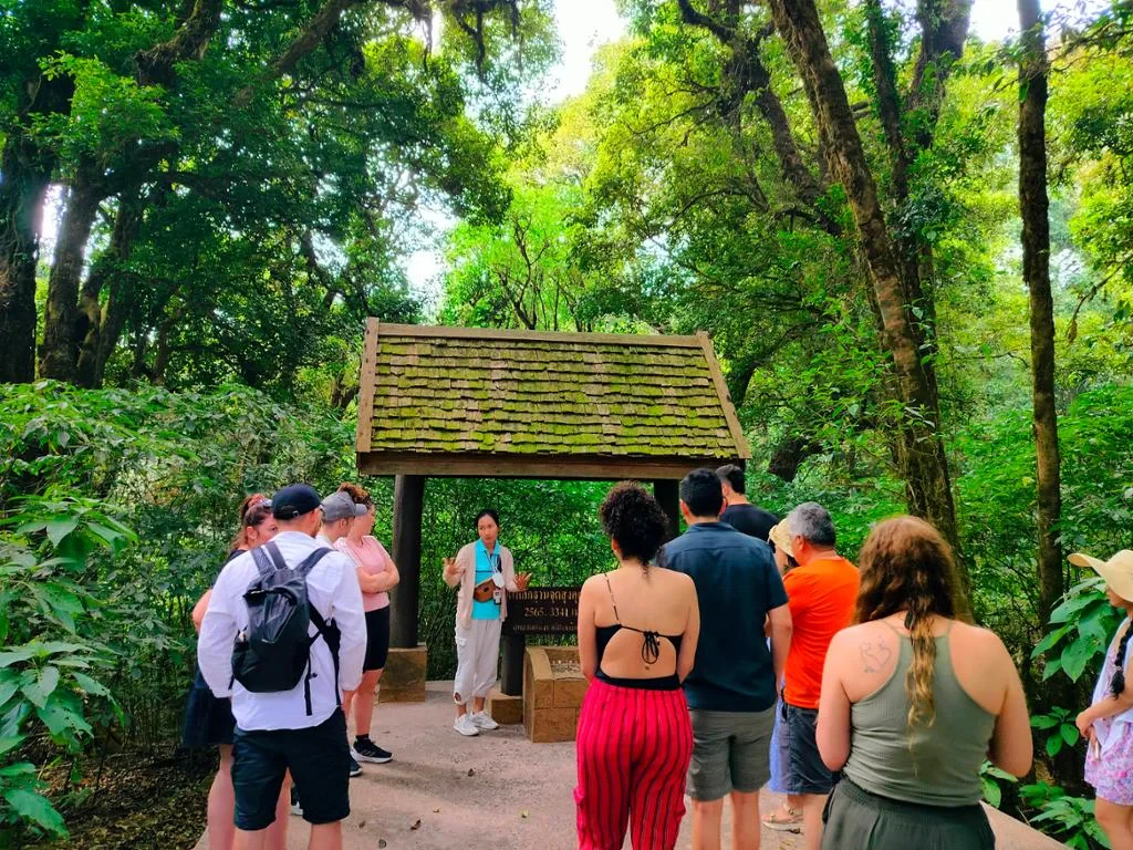 Discover Chiang Mai Surrounding Areas - Full-Day Private Car Hire with Chauffeur - Photo 11
