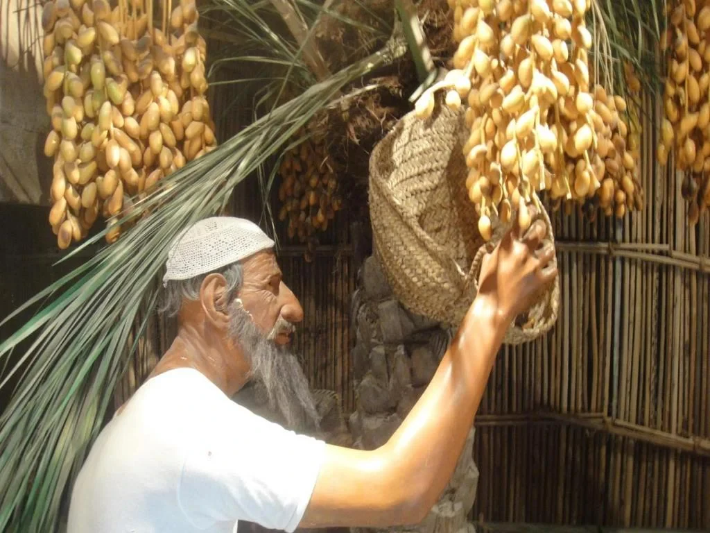 Discover Historic Dubai City - Private Tour - Photo 5