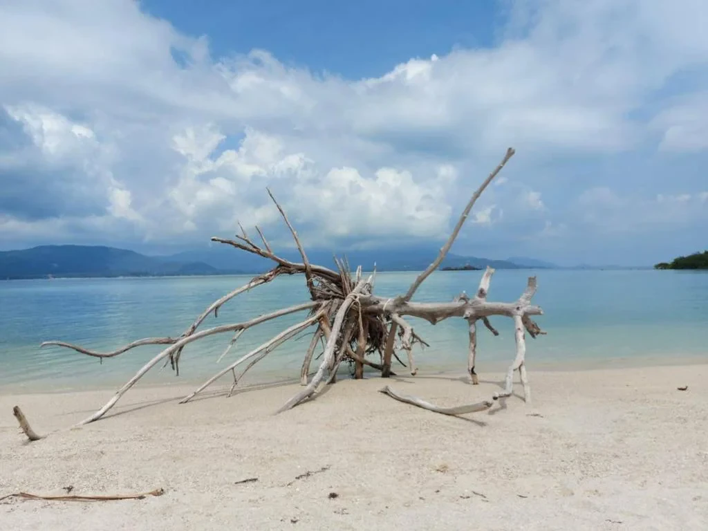  Discover Koh Tan and Koh Madsum Islands – Half-Day Tour - Photo 3