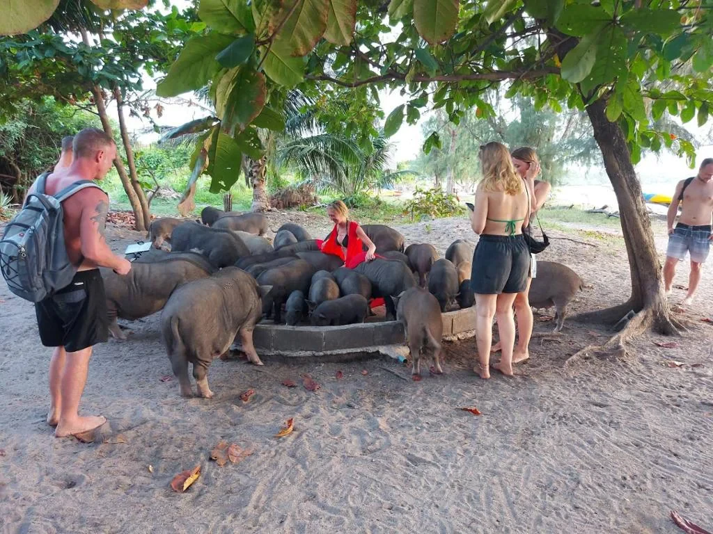  Discover Koh Tan and Koh Madsum Islands – Half-Day Tour - Photo 6