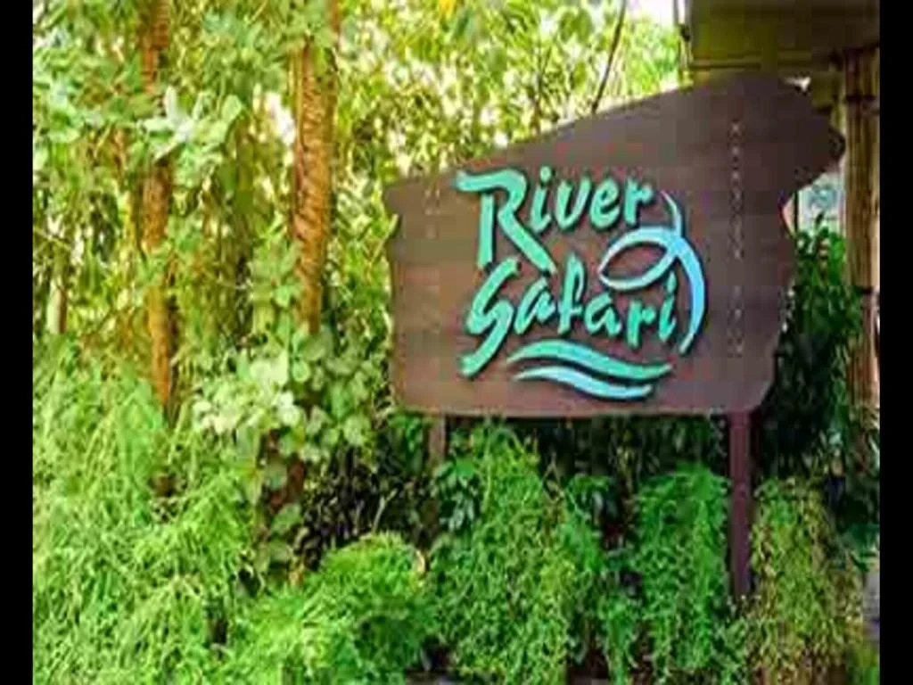 Discover River Wonders with Optional Transfer