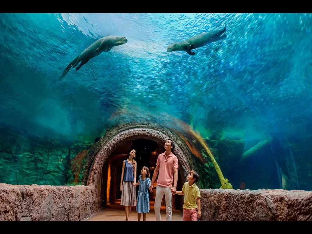 Discover River Wonders with Optional Transfer - Photo 2