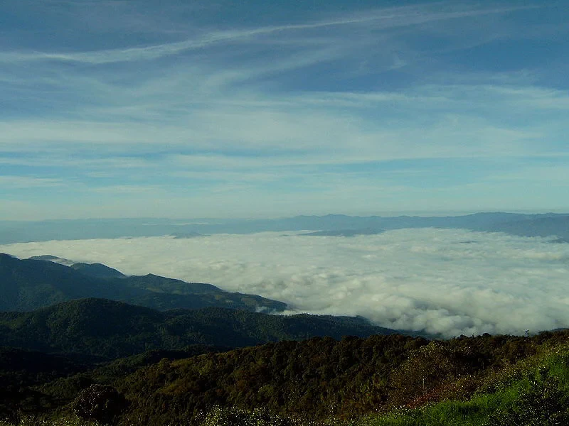 Doi Inthanon National Park – Full-Day Tour - Photo 2
