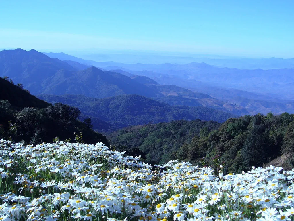 Doi Inthanon National Park – Full-Day Tour - Photo 4