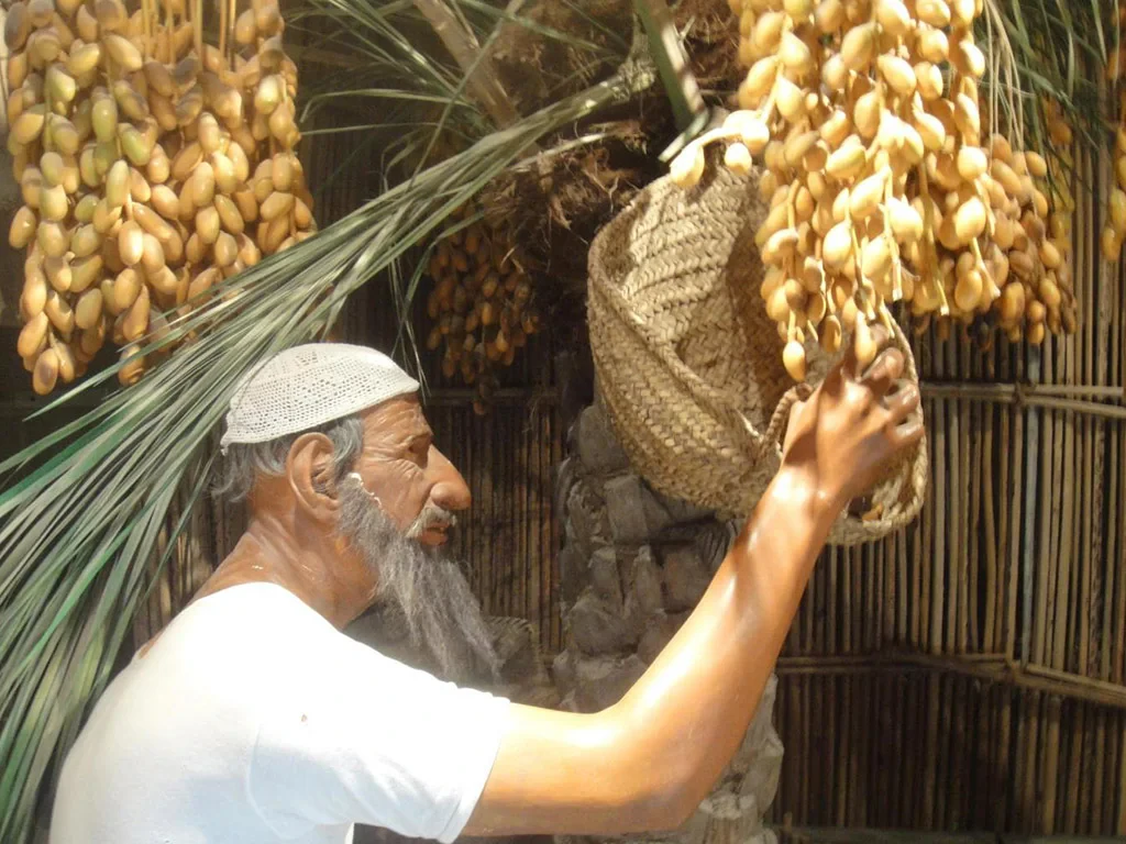 Dubai City Tour with Dubai Mall and Burj Khalifa - Private Full-Day Tour - Photo 3