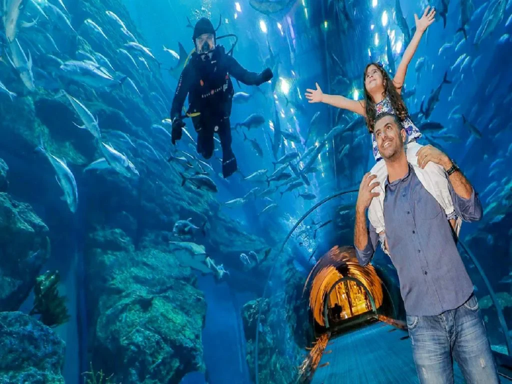 Dubai Mall Aquarium and Penguin Cove – Ticket with Sharing Transfers