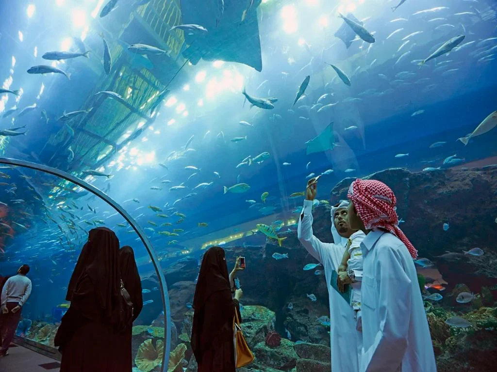 Dubai Mall Aquarium and Penguin Cove – Ticket with Sharing Transfers - Photo 2