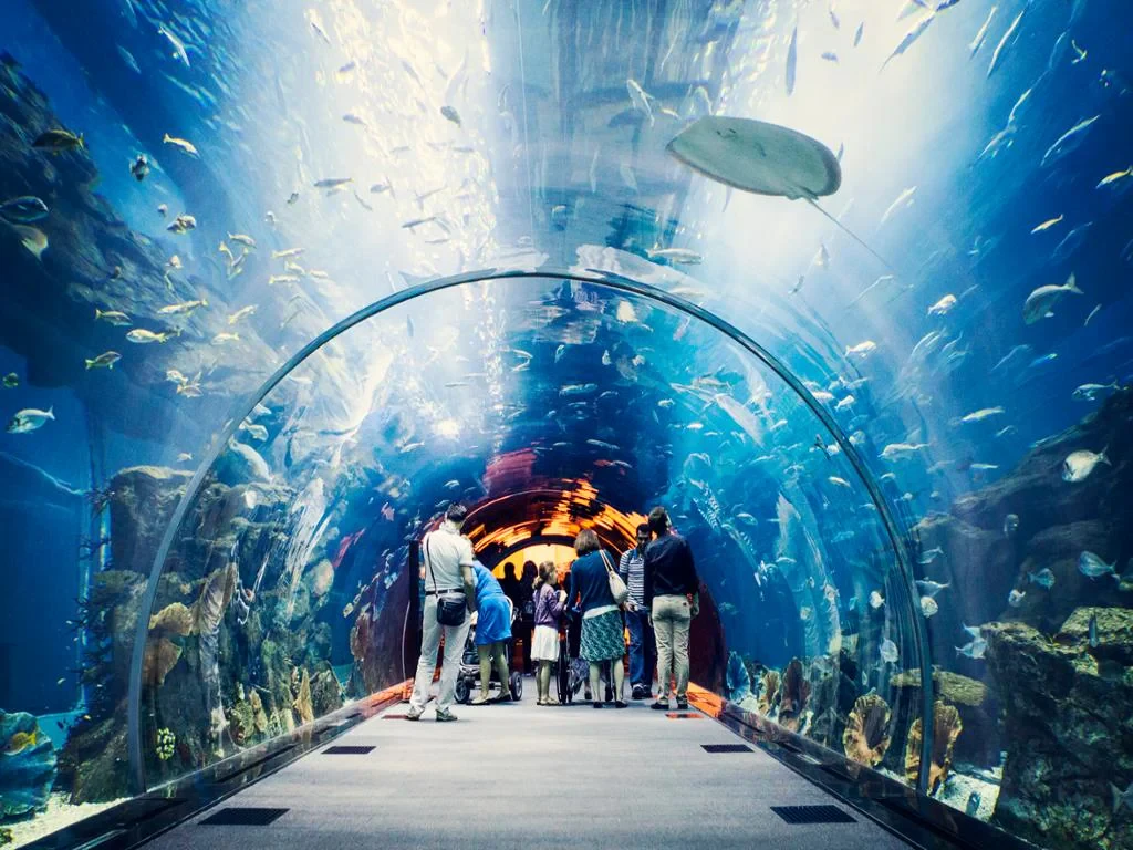 Dubai Mall Aquarium and Penguin Cove – Ticket with Sharing Transfers - Photo 3