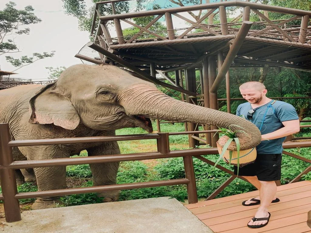 Elephant Kingdom Experience - Photo 9