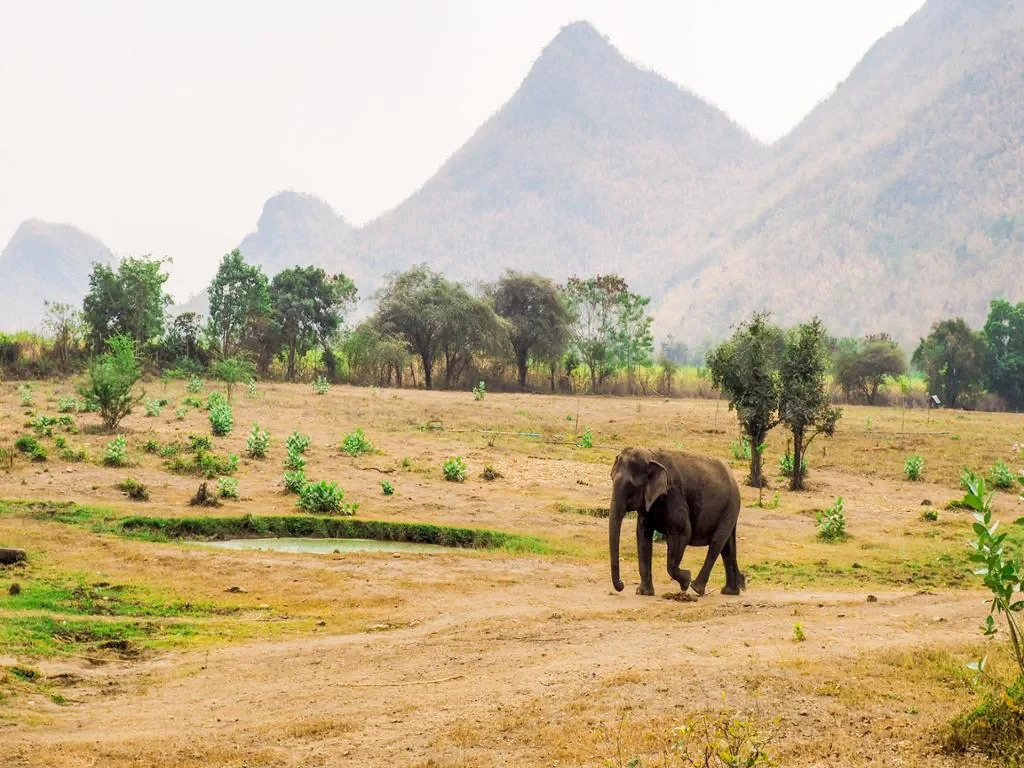Elephant Sanctuary and Erawan Waterfall - Full-Day Private Tour - Photo 2