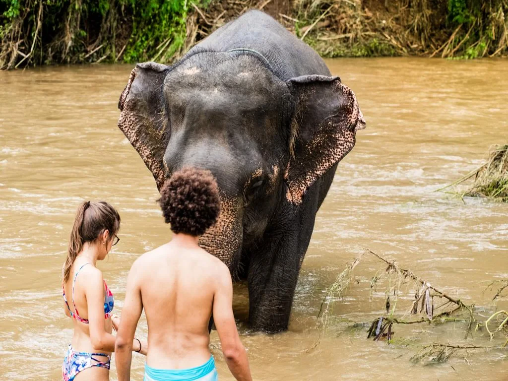 Elephant Sanctuary and Erawan Waterfall - Full-Day Private Tour - Photo 3