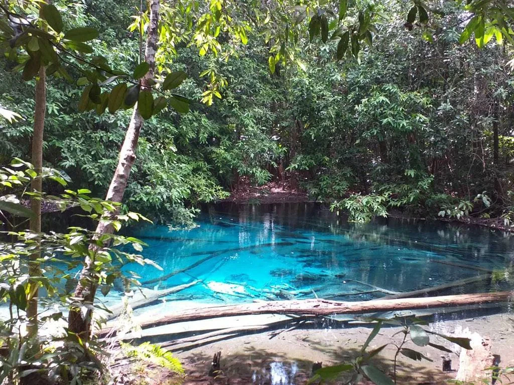 Emerald Pool Tour - Photo 3