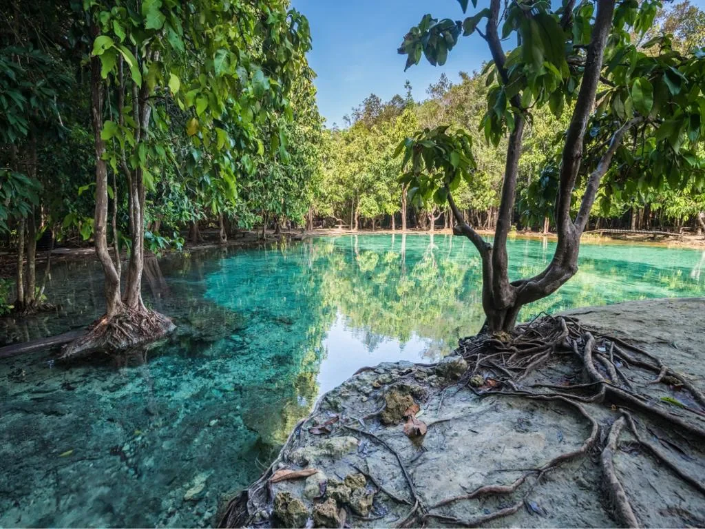 Enjoy - Jungle Tour & Emerald Pool