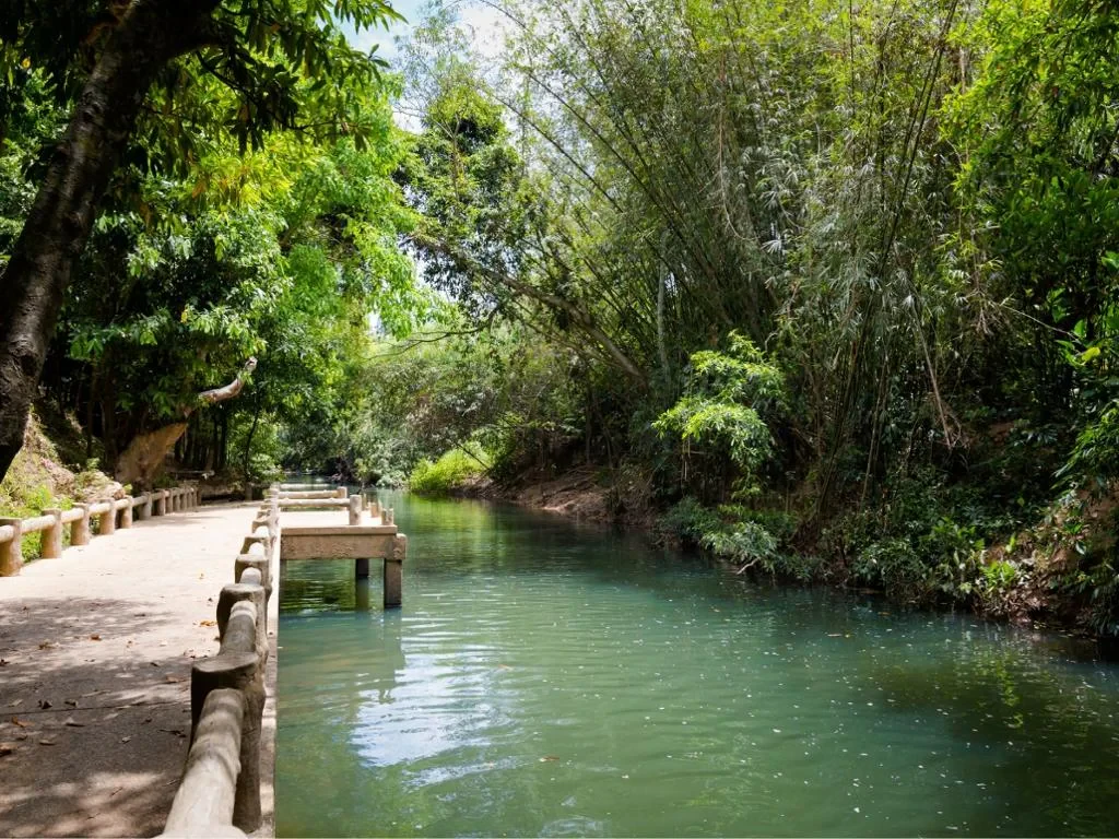 Enjoy - Jungle Tour & Emerald Pool - Photo 3