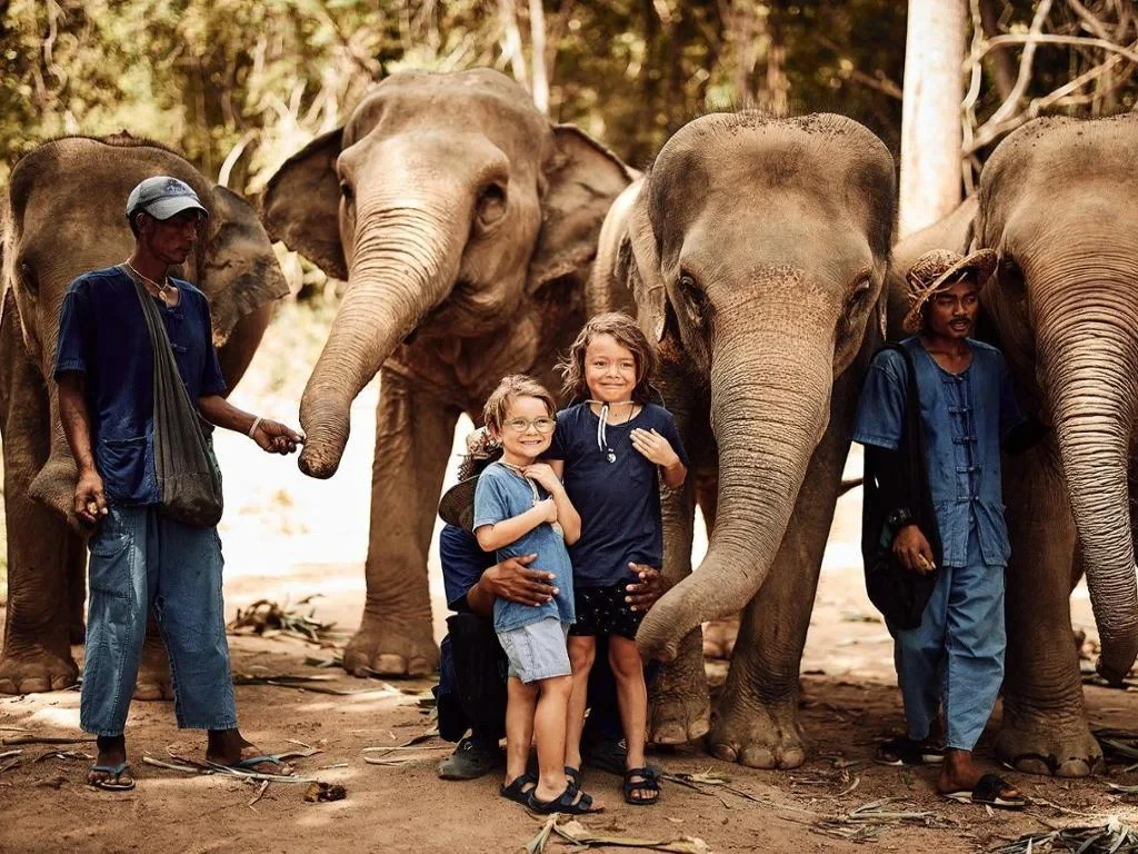 Ethic Elephant Sanctuary - Half-Day Tour - Photo 6