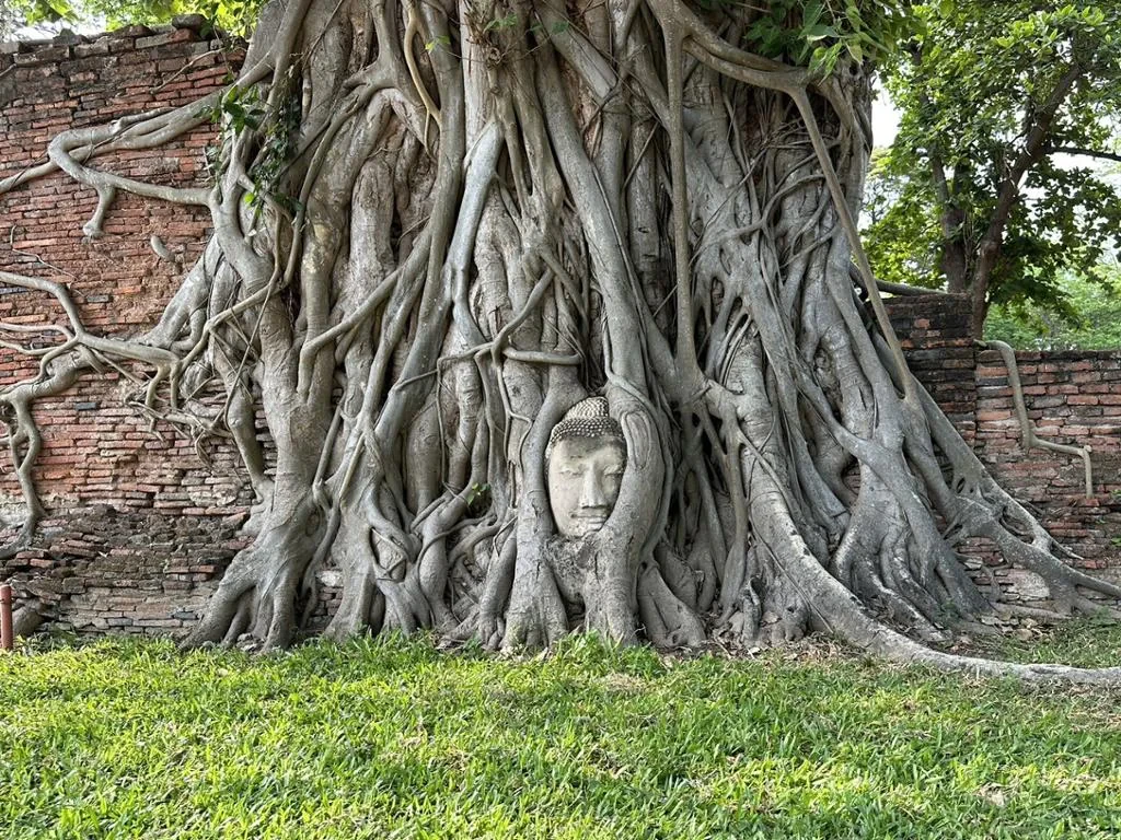 Excursion to Ayutthaya with a Local Guide - Private Full Day Tour - Photo 8