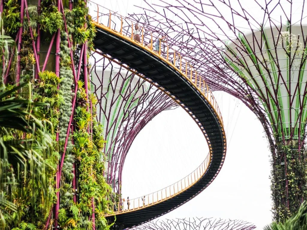 Explore Gardens by the Bay - One Way Transfer - Photo 3