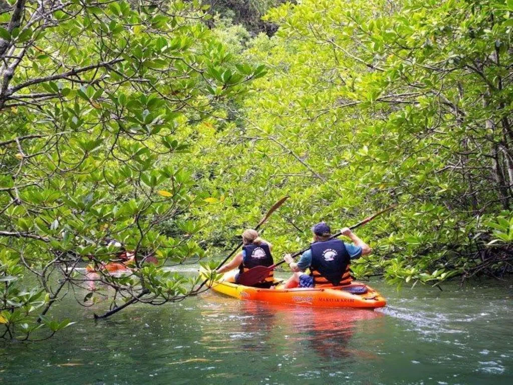 Forest Kayaking in Bor Thor - Half-Day Tour - Photo 2