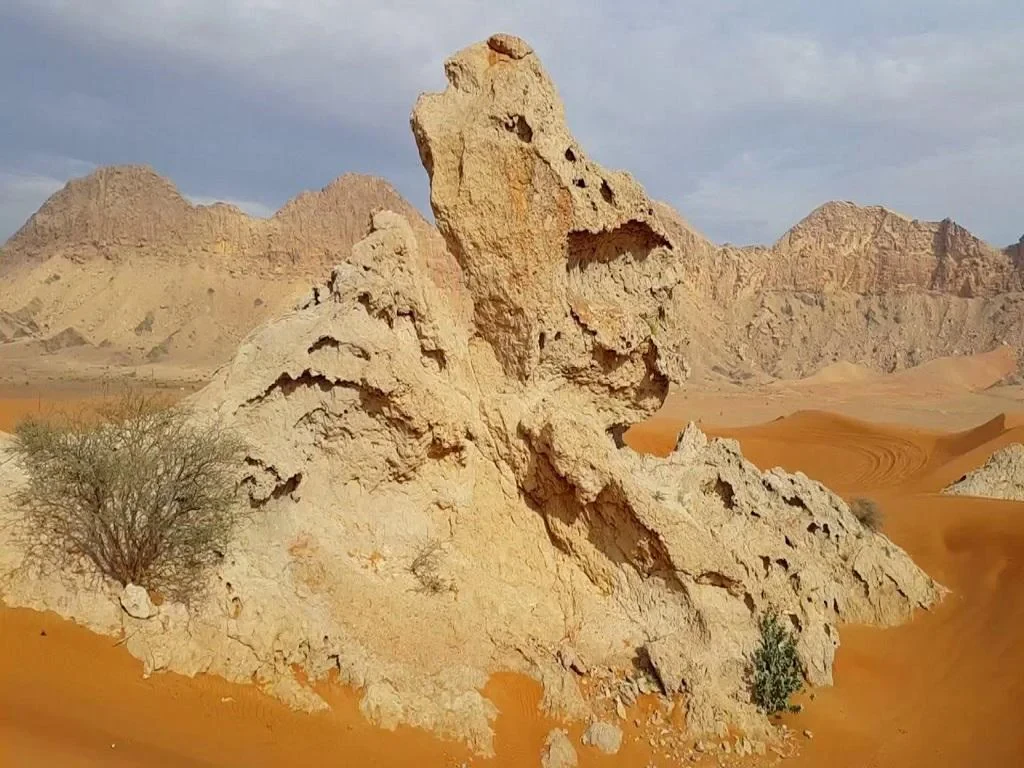 Fossil Rock Adventure Safari with BBQ Dinner