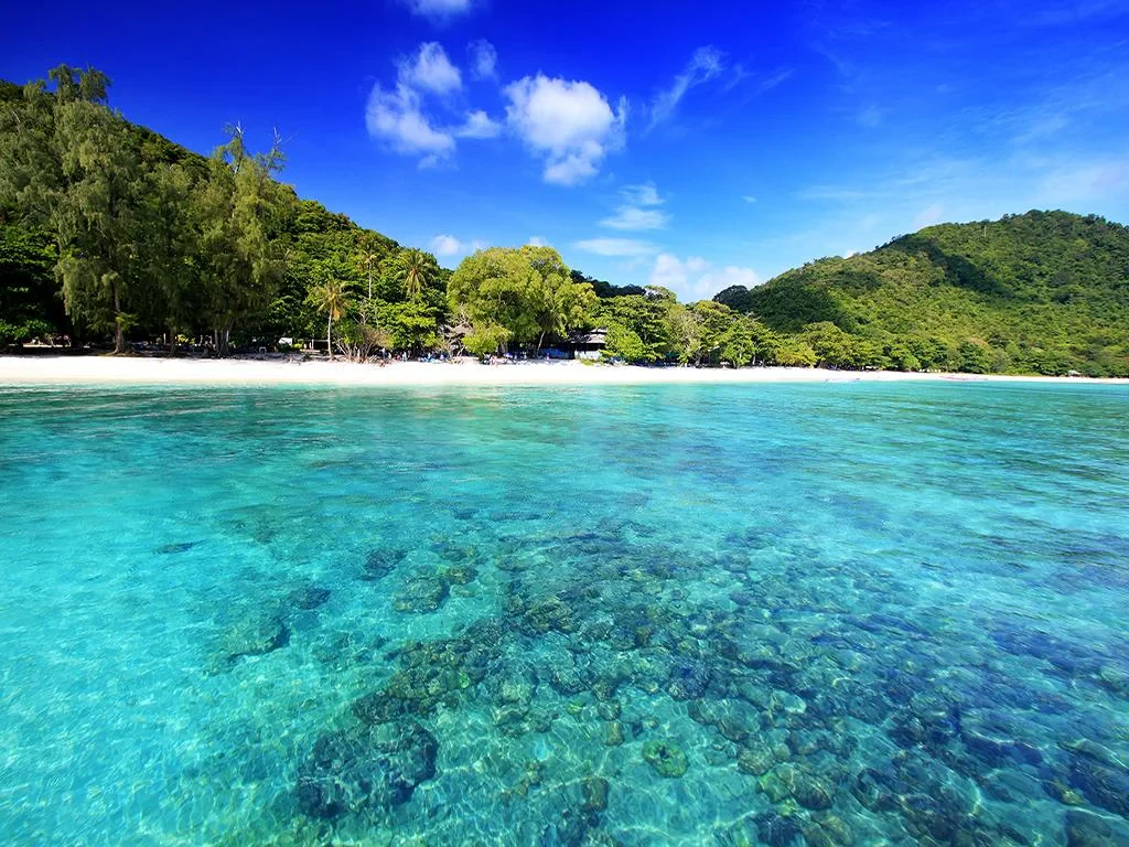 Full Day Coral Island by Speed Boat - Photo 2