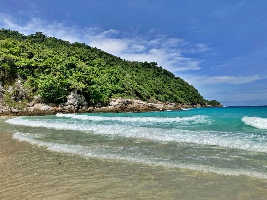 Full Day Racha and Coral Islands Tour by Speedboat - Photo 3