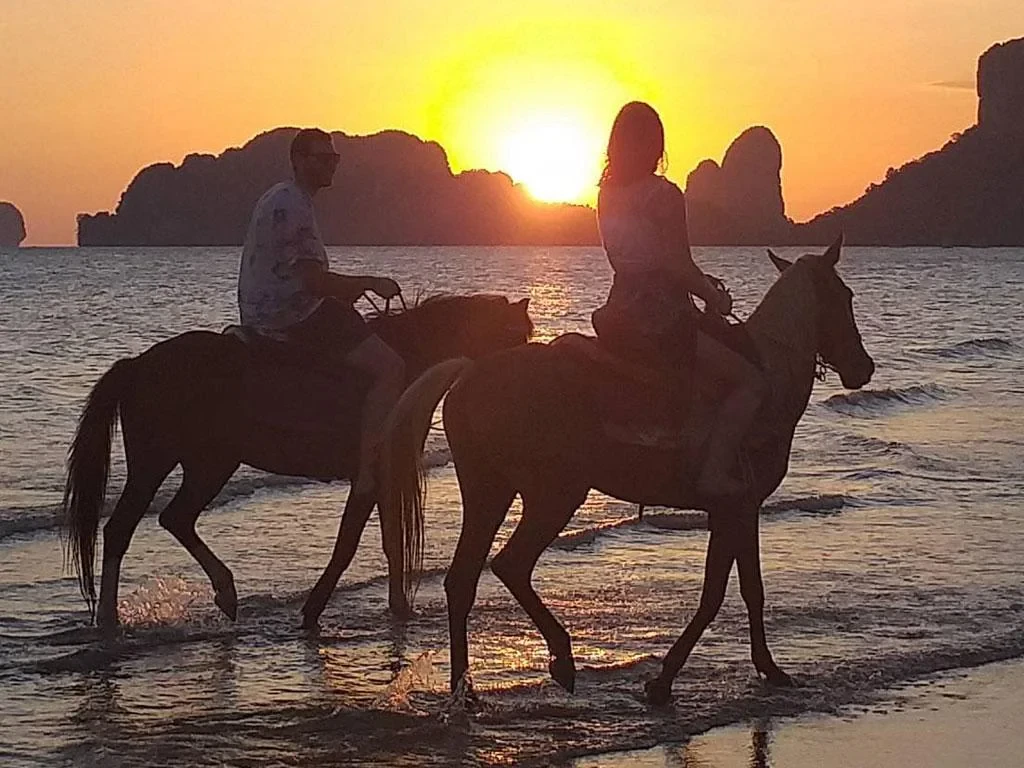 Horse Riding and Sunset BBQ