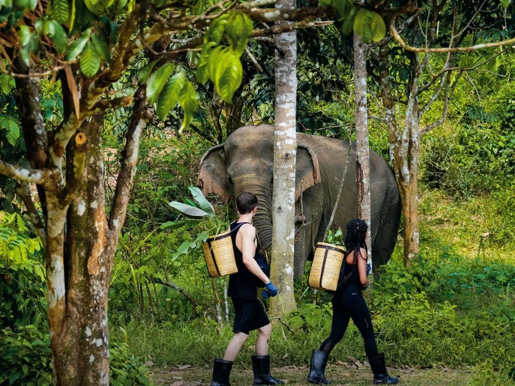 In the Footsteps of Giants - Photo 3