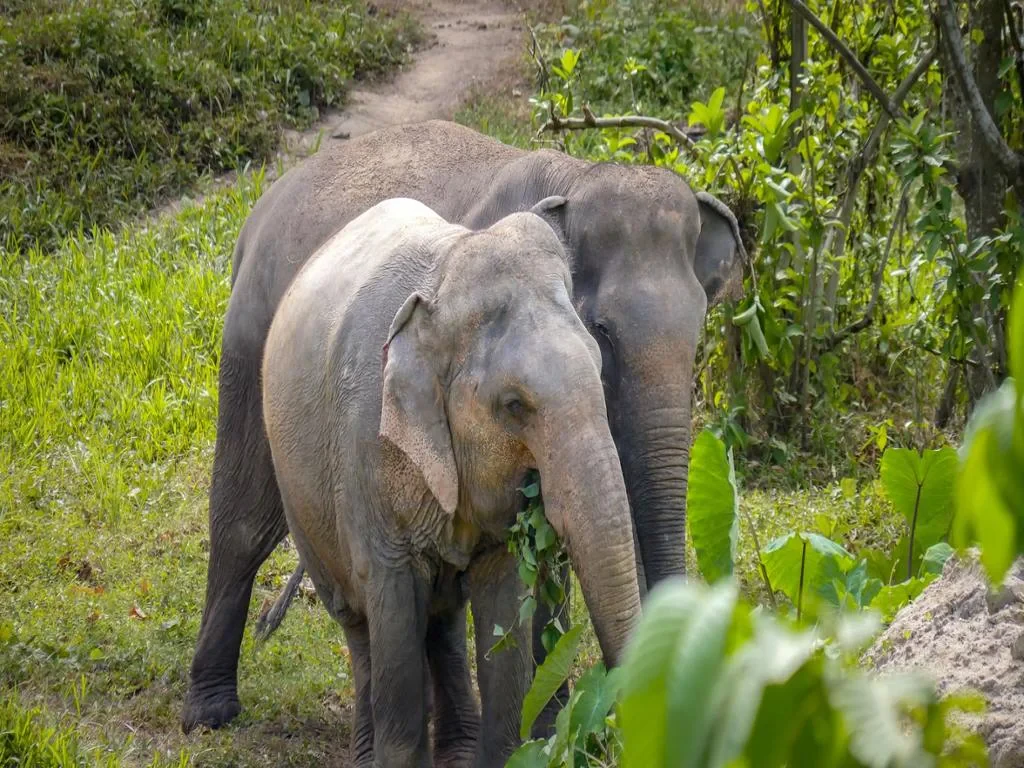 In the Footsteps of Giants - Photo 4