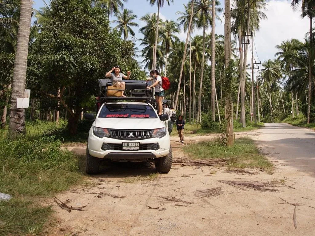 Jeep Jungle Safari - Photo 3