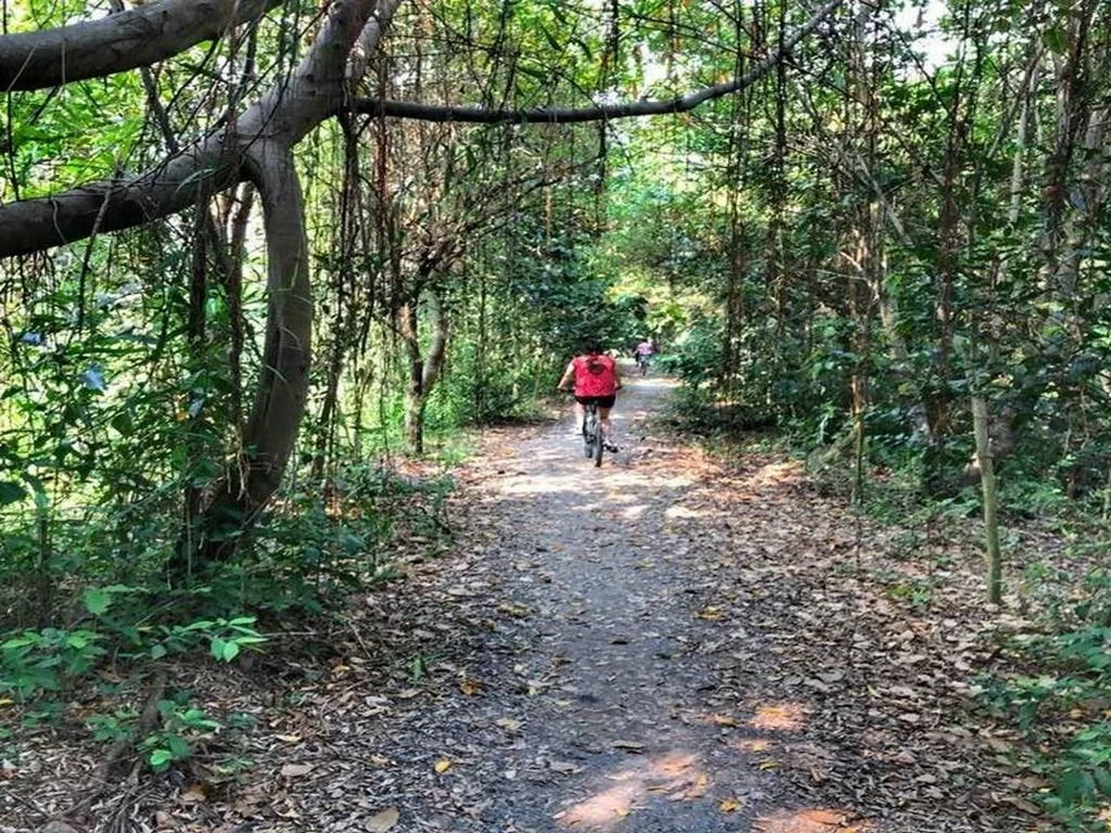 Jungle Cycling Tour