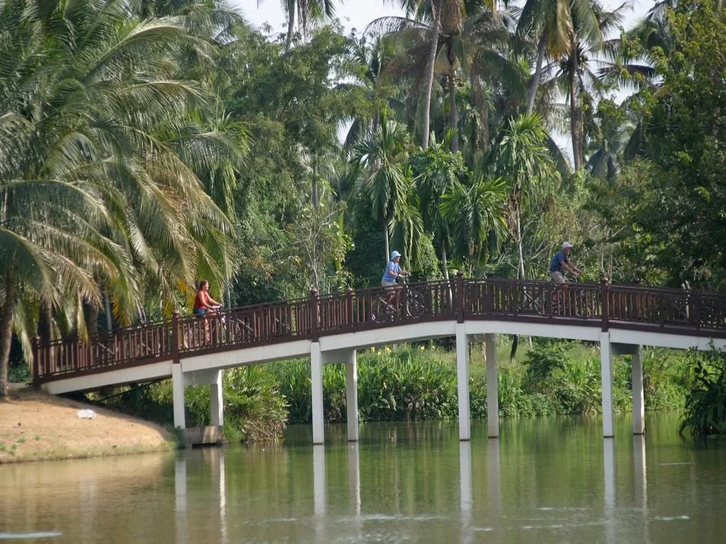 Jungle Cycling Tour - Photo 2